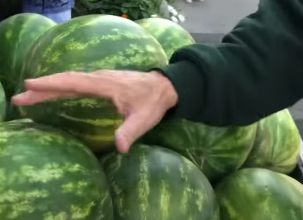 Tony's Tips: The special test to tell if a watermelon is ripe